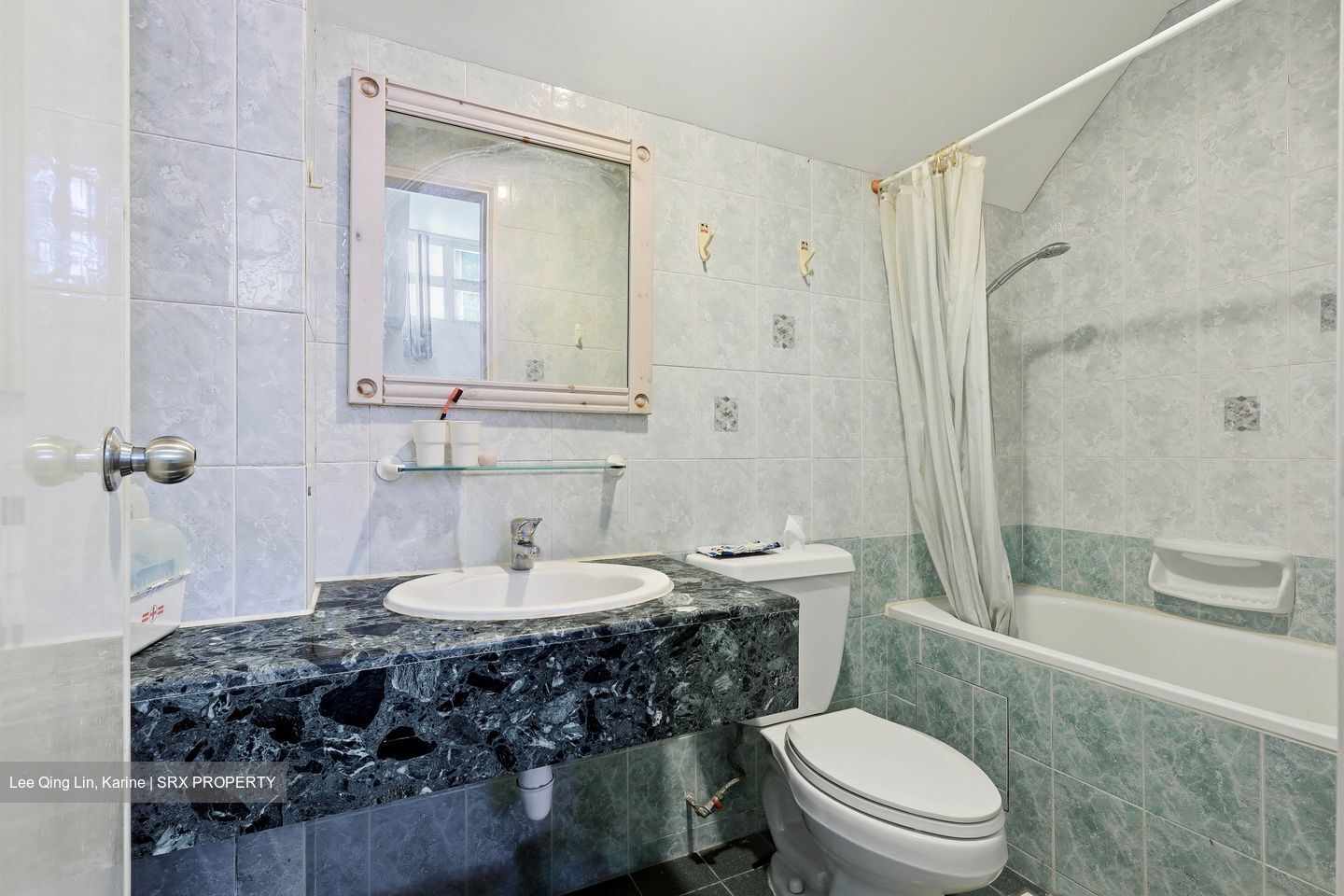 Crescendo Park (D15), Condominium #562200651